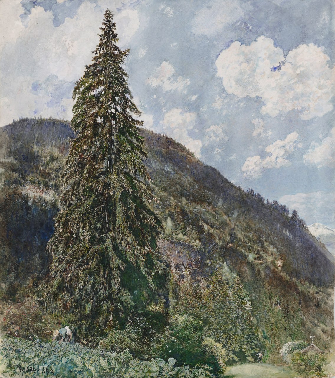 Рудольф фон Альт — Die alte Fichte in Bad Gastein (Старая ель в Бад-Гастайне), 1899