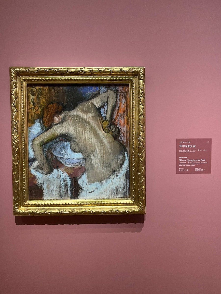 Impressionist Interiors: Intimacy, Decoration, Modernity, снимок 6